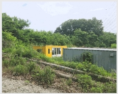  2025Ÿ��514  �Ӿ߰��