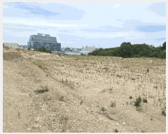  2025Ÿ��522  ���������