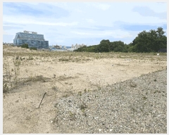  2025Ÿ��522  ���ð��