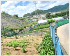  2025Ÿ��602  ���������