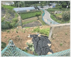  2025Ÿ��602  ���������