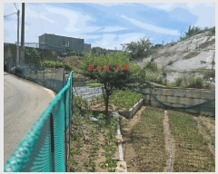  2025Ÿ��602  ���������