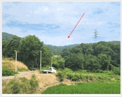  2025Ÿ��629  �Ӿ߰��