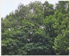  2025Ÿ��629  �Ӿ߰��