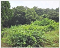  2025Ÿ��629  �Ӿ߰��