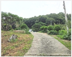  2025Ÿ��629  �Ӿ߰��