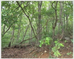  2025Ÿ��629  �Ӿ߰��