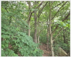  2025Ÿ��629  �Ӿ߰��