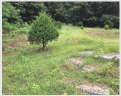  2025Ÿ��629  �Ӿ߰��