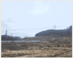  2025Ÿ��11209 �泲 �ƻ�� ������ ���ϸ� 336      ����(��)���