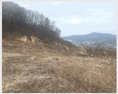  2025Ÿ��11209 �泲 �ƻ�� ������ ���ϸ� 336      ����(��)���