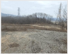  2025Ÿ��11209 �泲 �ƻ�� ������ ���ϸ� 336      ����(��)���