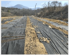  2025Ÿ��11370 �泲 �ƻ�� ����� ��ö�� 868      ����(��1)���