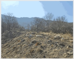  2025Ÿ��11370 �泲 �ƻ�� ����� ��ö�� 868      ����(��1)���