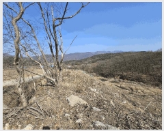  2025Ÿ��11370 �泲 �ƻ�� ����� ��ö�� 868      ����(��1)���