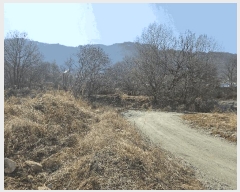  2025Ÿ��11370 �泲 �ƻ�� ����� ��ö�� 868      ����(��1)���