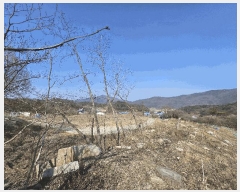  2025Ÿ��11370 �泲 �ƻ�� ����� ��ö�� 868      ����(��1)���