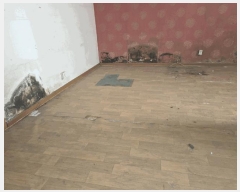  2025Ÿ11380 泲 õȽ    258-10     