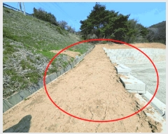  2025Ÿ11393 泲 ƻ  ϸ 101-3      (1)