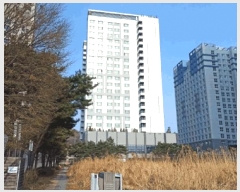  2025Ÿ11453 泲 ƻ  縮 1731 ĸ𽺶 202010ȣ    ǽڰ