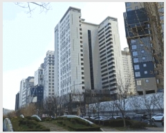  2025Ÿ11453 泲 ƻ  縮 1731 ĸ𽺶 202010ȣ    ǽڰ