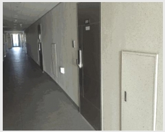  2025Ÿ11453 泲 ƻ  縮 1731 ĸ𽺶 202010ȣ    ǽڰ