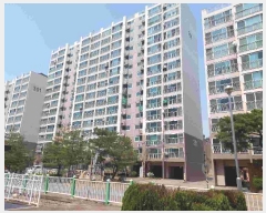  2025Ÿ11494 泲 õȽ ϱ ȯ ָ 244-5 ο 301 9903ȣ  Ʈ