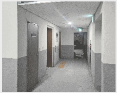  2025Ÿ11512 泲 õȽ ϱ 鼮 868 õȺƮ2  7703ȣ   ǽڰ