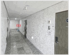  2025Ÿ11512 泲 õȽ ϱ 鼮 868 õȺƮ2  7703ȣ   ǽڰ