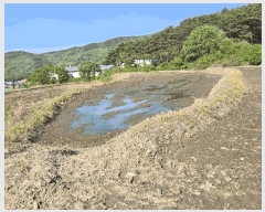  2025Ÿ11528 泲 ƻ  ö 529      ()