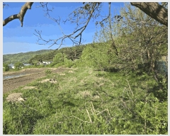  2025Ÿ11528 泲 ƻ  ö 529      ()