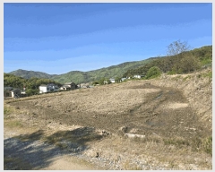  2025Ÿ11528 泲 ƻ  ö 529      ()