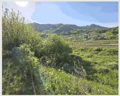  2025Ÿ11528 泲 ƻ  ö 529      ()