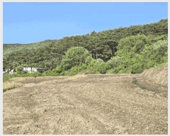  2025Ÿ11528 泲 ƻ  ö 529      ()