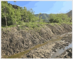  2025Ÿ11528 泲 ƻ  ö 529      ()