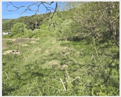  2025Ÿ11528 泲 ƻ  ö 529      ()