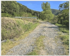  2025Ÿ11528 泲 ƻ  ö 529      ()