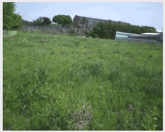  2025Ÿ��11600  ���������