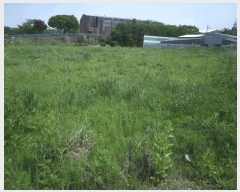  2025Ÿ��11600  �����