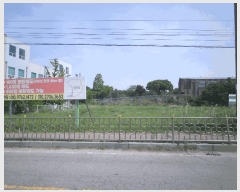  2025Ÿ��11600  �����