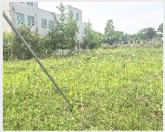  2025Ÿ��11600  �����