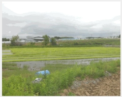  2025Ÿ��11678 �泲 õ�Ƚ� ������ ������ 231-2      ����(��)���