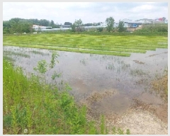  2025Ÿ��11678 �泲 õ�Ƚ� ������ ������ 231-2      ����(��)���