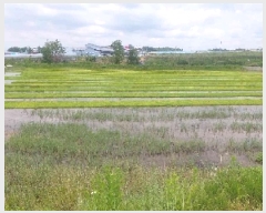  2025Ÿ��11678 �泲 õ�Ƚ� ������ ������ 231-2      ����(��)���