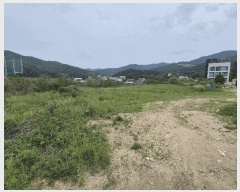  2025Ÿ��11694 �泲 õ�Ƚ� ������ ������ 148      ����(��)���