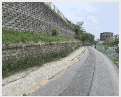  2025Ÿ��11694 �泲 õ�Ƚ� ������ ������ 148      ����(��)���