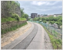  2025Ÿ��11694 �泲 õ�Ƚ� ������ ������ 148      ����(��)���