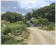  2025Ÿ��11725 �泲 õ�Ƚ� ������ ��õ�� ��õ�� ��49     ����(�Ӿ�)���