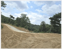  2025Ÿ��11725 �泲 õ�Ƚ� ������ ��õ�� ��õ�� ��49     ����(�Ӿ�)���