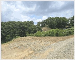  2025Ÿ��11725 �泲 õ�Ƚ� ������ ��õ�� ��õ�� ��49     ����(�Ӿ�)���